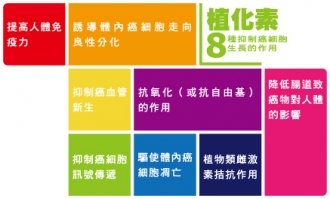 專欄插圖