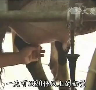專欄插圖