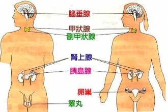 專欄插圖