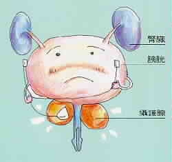 專欄插圖