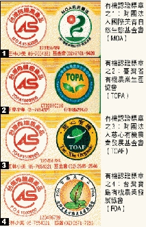 專欄插圖