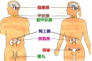 專欄分類插圖