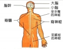 專欄分類插圖