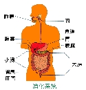 專欄分類插圖