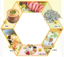 專欄分類插圖
